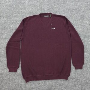 Peru Unlimited Sweater Mens XL Purple Baby Alpaca Wool V Neck Knit Pullover NEW